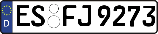 ES-FJ9273