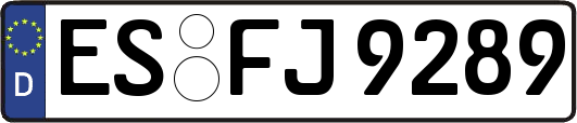 ES-FJ9289