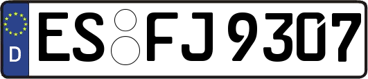 ES-FJ9307