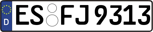 ES-FJ9313