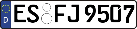 ES-FJ9507