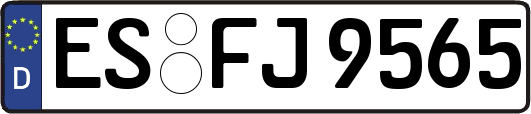 ES-FJ9565