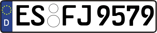 ES-FJ9579