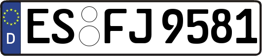 ES-FJ9581