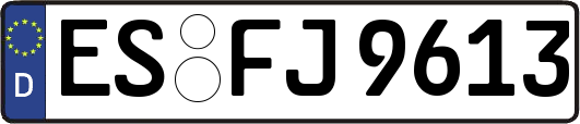 ES-FJ9613