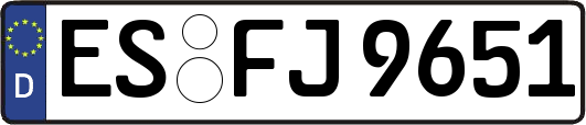 ES-FJ9651