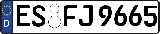 ES-FJ9665