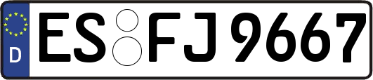 ES-FJ9667