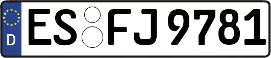 ES-FJ9781