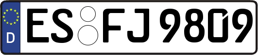 ES-FJ9809