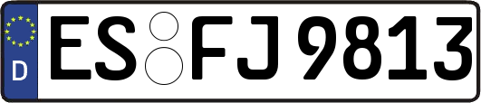 ES-FJ9813