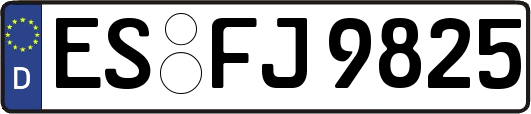 ES-FJ9825