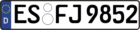 ES-FJ9852