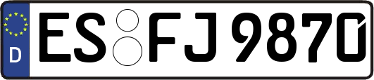 ES-FJ9870
