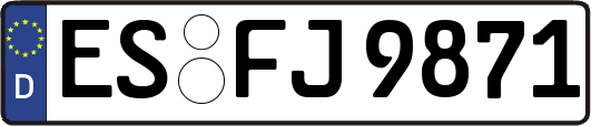 ES-FJ9871