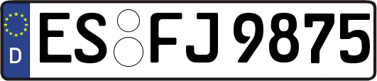 ES-FJ9875