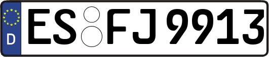 ES-FJ9913