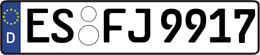 ES-FJ9917