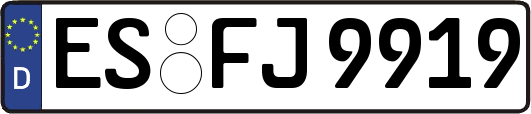 ES-FJ9919
