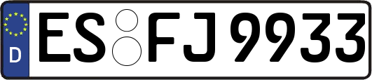 ES-FJ9933