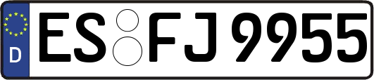 ES-FJ9955