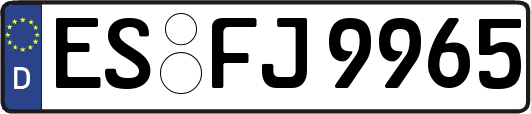 ES-FJ9965