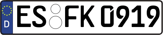 ES-FK0919