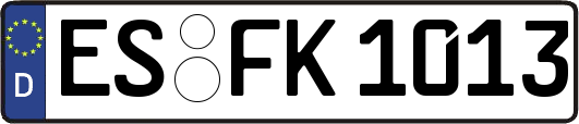 ES-FK1013