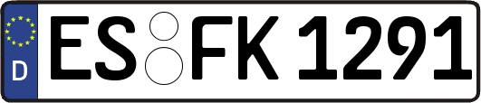 ES-FK1291