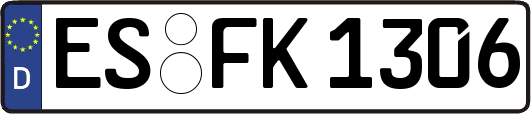 ES-FK1306