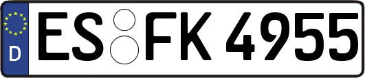 ES-FK4955