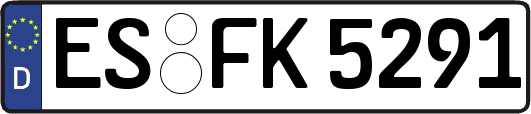 ES-FK5291