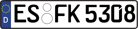 ES-FK5308