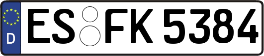 ES-FK5384