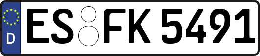 ES-FK5491