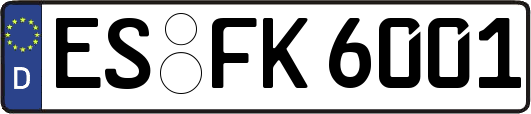 ES-FK6001