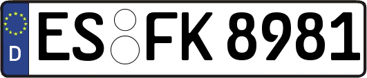 ES-FK8981