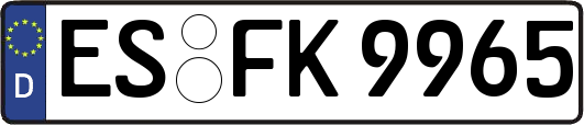 ES-FK9965