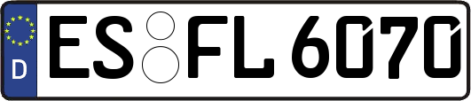 ES-FL6070