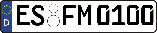 ES-FM0100