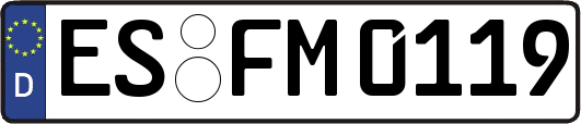 ES-FM0119