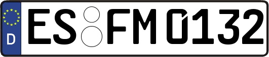 ES-FM0132