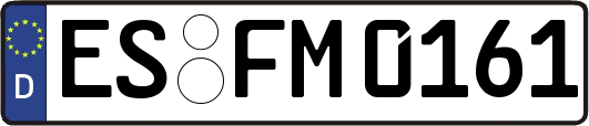 ES-FM0161