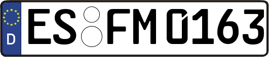 ES-FM0163