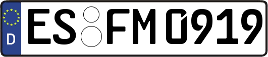 ES-FM0919