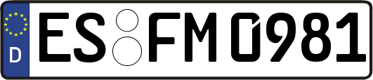 ES-FM0981