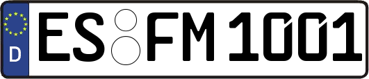 ES-FM1001