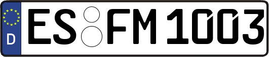 ES-FM1003