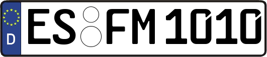 ES-FM1010