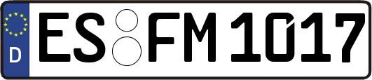 ES-FM1017